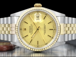 Rolex Datejust 36 Champagne Jubilee Crissy Dial 16233